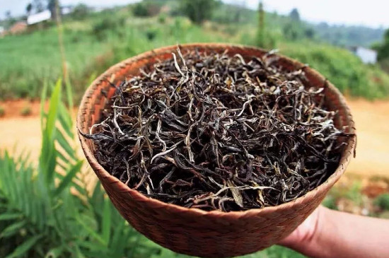 普洱生茶属于什么茶类
