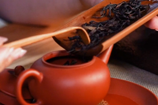 鳳凰單叢茶是屬於什麼茶系