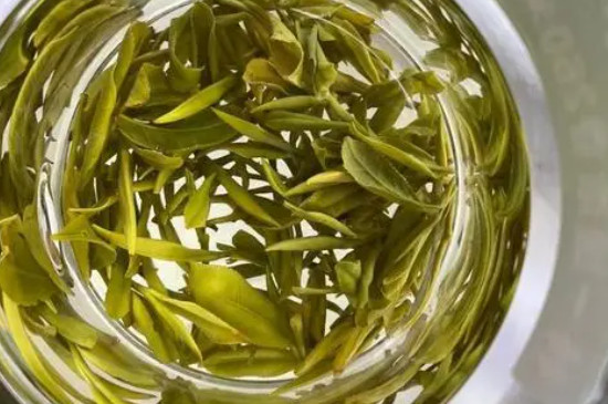 霍山黄芽是绿茶吗 霍山黄芽是发酵茶吗