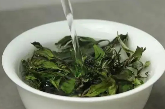 老白茶怎麼泡才正確