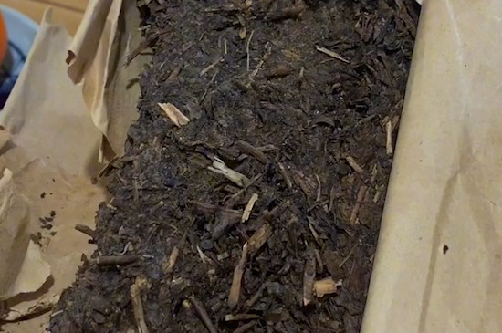 茯茶是什麼茶