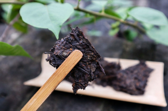 马邓古树茶的特点