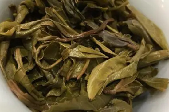 普洱茶是屬於什麼茶類?