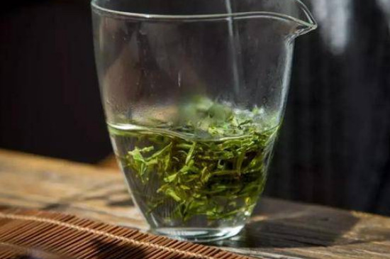 江山綠牡丹茶的沖泡方法
