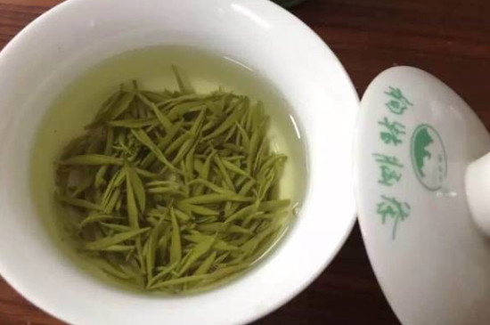 綠茶的沖泡步驟