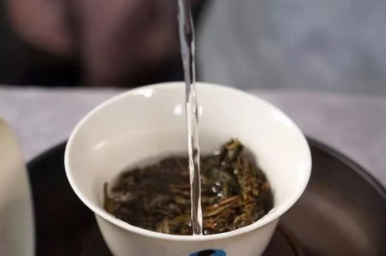 小戶賽古樹茶口感特點