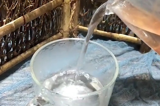 鐵皮石斛泡水喝方法