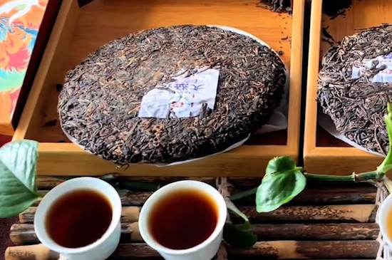 大樹茶和古樹茶的區別是什麼？