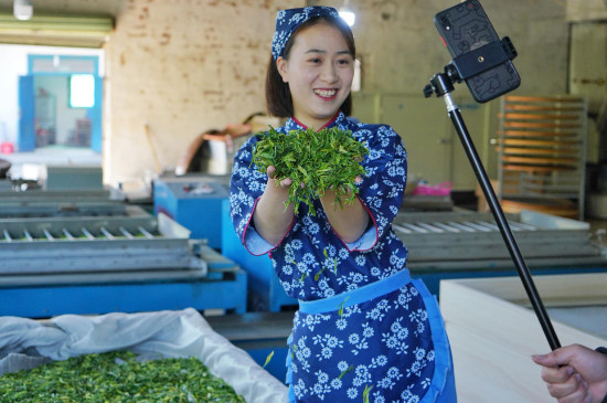 直播卖茶叶骗局