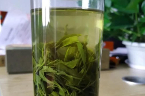 桂林毛尖茶屬於什麼茶
