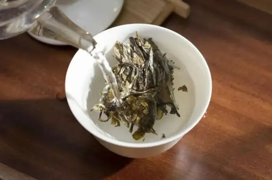 福鼎白茶餅怎麼泡才正確方法