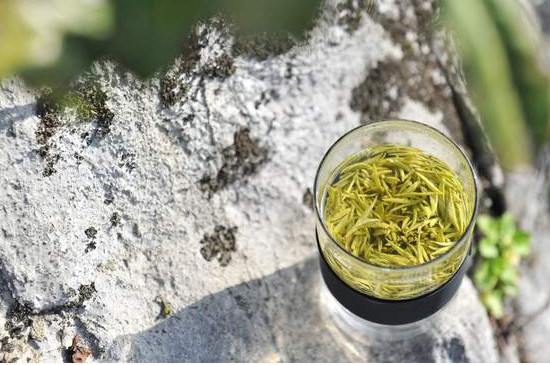 莫幹黃芽茶多少錢一斤 莫幹黃芽價格