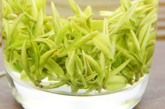 安吉白茶的形成 安吉白茶的介紹和特點