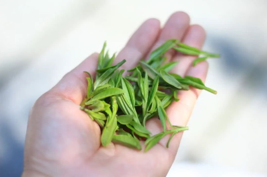 龍井茶是綠茶還是紅茶