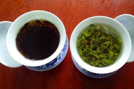 綠茶與紅茶有什麼區別