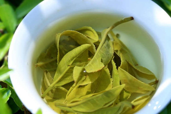 碧螺春是绿茶吗