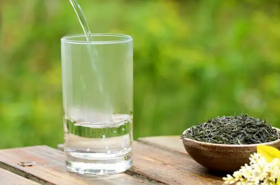 雨花茶怎麼泡