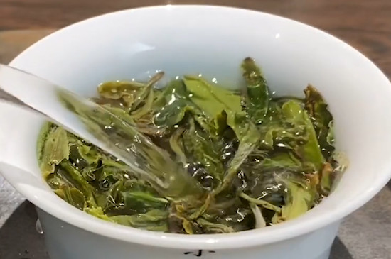 白茶要怎麼沖泡