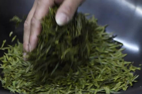 龍井茶屬於綠茶嗎