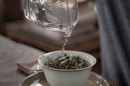 福鼎老白茶屬於綠茶嗎